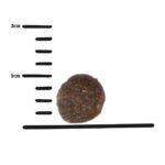 GPF 7,5kg InsectDog Mini - Obrázek 3