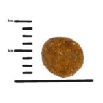 GPF 10kg Sensitive with Insects dog - Obrázek 2