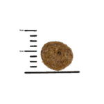 GPF 10kg with Red Lentil dog - Obrázek 2