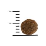 GPF 7,5kg Vitality with Insects dog - Obrázek 2