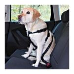 Postroj bezp.auto M 50-70cm Trixie - Obrázek 3