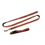 Souprava nylon.obojek+vodítko 1,5x26-38/125cm