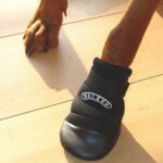 Botičky-neoprén dog 2ks M - Obrázek 2