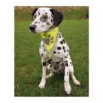 Šátek reflexní pro psa S-M 29-42cm - Obrázek 2