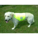 Vesta bezp.reflexní M/č.2 Trixie - Obrázek 2