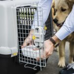 Přepravka Gulliver 7 102x72x76cm tmavá/světlá šedá - Obrázek 4