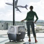 Přepravka - Gulliver Touring 80cm tmavá/světlá  + box - Obrázek 2