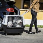 Přepravka - Gulliver Touring 80cm tmavá/světlá  + box - Obrázek 3