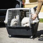 Panel - dělící panel pro Gulliver Touring - Obrázek 2