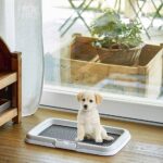 Podložka  štěněcí výcviková 60x40x4cm - Obrázek 2