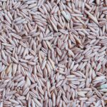 Poškozený Oves loupaný 23kg, Štefek - Obrázek 2