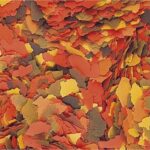 Tropical Supervit 21 l/4kg vědro - Obrázek 2