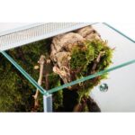 Terárium  25x30x30cm - Obrázek 2