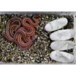 Vermikulit 1l Robimaus - Obrázek 3