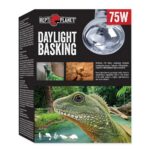 Žárovka Repti Planet Daylight Basking Spot 75W