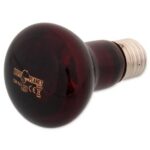 Žárovka Repti Planet Infrared HEAT 75W - Obrázek 2