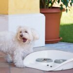 Dvoumiska plastová s podložkou 0,25/0,3l světle šedá/bílá - Obrázek 2