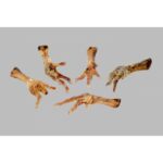 Suš.drůbeží nožka 100g/zip - Obrázek 2