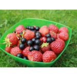 Trumf drobné ovoce 1kg granulované  hnojivo - Obrázek 3