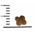 GPF 300g FairCat Safe - Obrázek 2