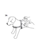 Easy Walk™ Harness - Obrázek 5