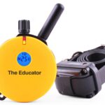 E-Collar Educator ET-400