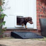 Dvířka pro psy Sureflap Microchip Pet Door Connect - Obrázek 8