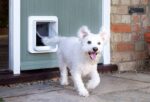 Dvířka pro psy Sureflap Microchip Pet Door Connect - Obrázek 9