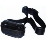 Obojek a přijímač Petrainer PET900D