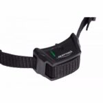 Num´axes Canifugue 2015 - Obrázek 3