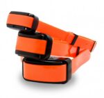 Dogtrace d-control professional 1000 - orange - Obrázek 5