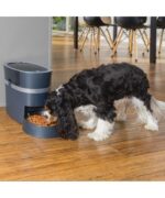 PetSafe® Smart Feed 2.0 - Obrázek 4