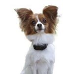 PetSafe® VBC-10 Vibro - Obrázek 7