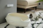 Petkit Pura Air chytrý odstraňovač pachu a bakterií - Obrázek 6
