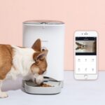 Petwant F1 - Obrázek 2