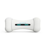 Wickedbone interaktivní kost