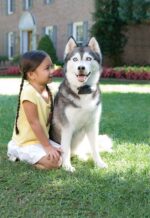 PetSafe® pro velké psy - Obrázek 2