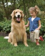 PetSafe® Basic - Obrázek 3