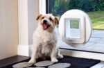 Dvířka SureFlap s mikročipem pro psy - Obrázek 3