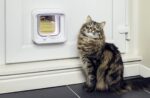 Dvířka pro kočky Sureflap Microchip Cat Door Connect - Obrázek 11