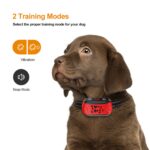 Patpet B301 - Obrázek 7