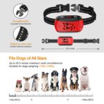 Patpet B301 - Obrázek 5