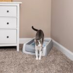 PetSafe® ScoopFree Original™ 2nd generation - Obrázek 6