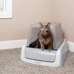 PetSafe® ScoopFree Original™ 2nd generation + stříška - Obrázek 3