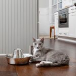 PetSafe® Seaside - Obrázek 2