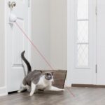 Hračka pro kočky, PetSafe® Dancing Dot - Obrázek 4