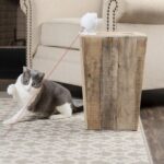 Hračka pro kočky, PetSafe® Dancing Dot - Obrázek 5