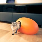 Poopoopeedo - Obrázek 2