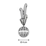 Děrovaný míček s peřím a rolničkou Flamingo, 2ks - Obrázek 4