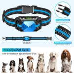 Reedog Q20 - Obrázek 2